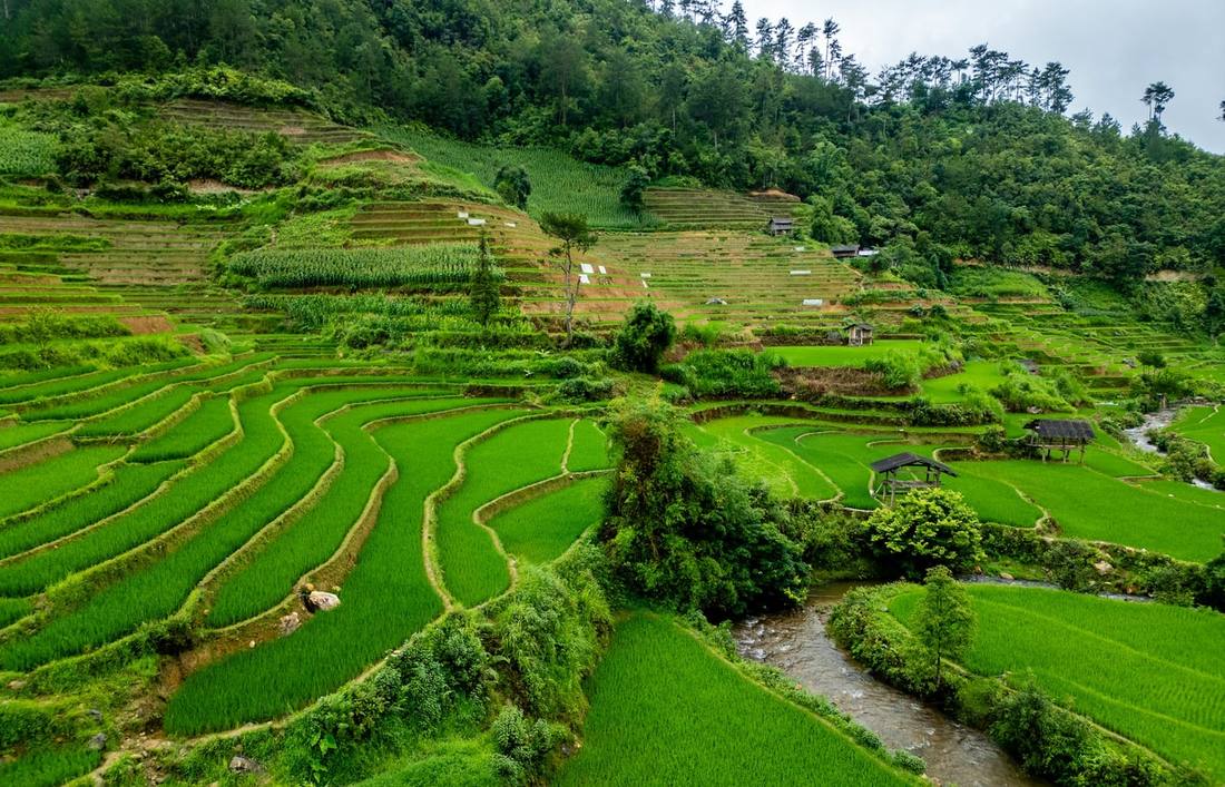 Xe ghép Điện Biên