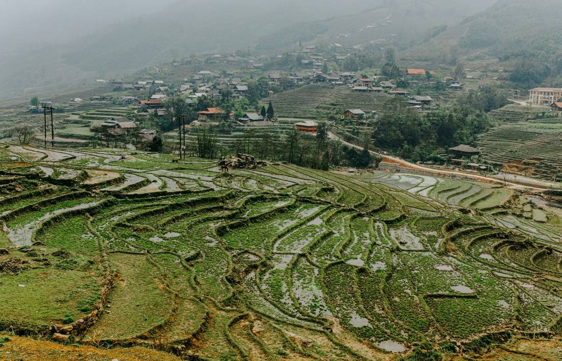 Xe ghép Tuyên Quang